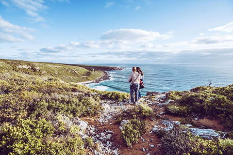 Guided Walks On The Cape To Cape - Redgate Beach To Boranup Forest - Accommodation Port Macquarie 6