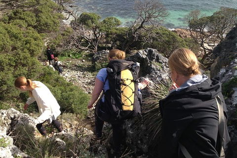 Guided Walks On The Cape To Cape - Redgate Beach To Boranup Forest - Accommodation Port Macquarie 5