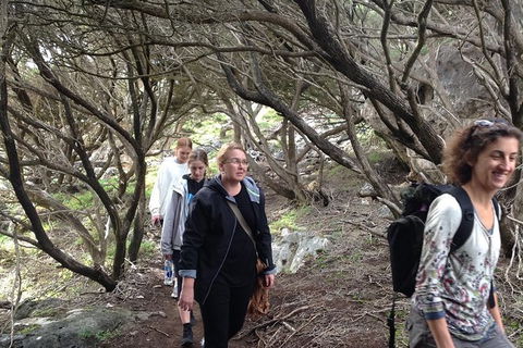 Guided Walks On The Cape To Cape - Redgate Beach To Boranup Forest - Accommodation Port Macquarie 3