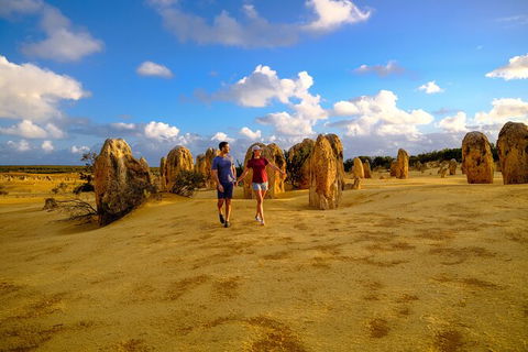 Half Day Pinnacles Sunset Tour - Accommodation Port Macquarie 3