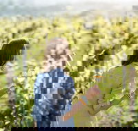 5 Hours Wineries Coffee Tasting Forest  Lunch at the Berry Farm - Accommodation Port Macquarie
