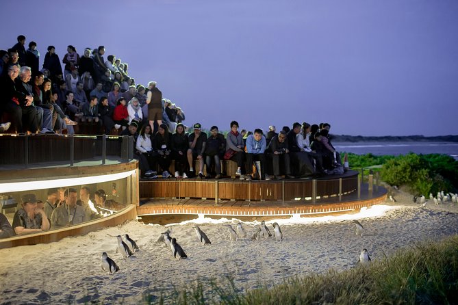Phillip Island VIC Accommodation Port Macquarie