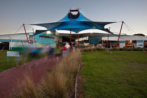 Express Expedition To Phillip Island Penguin Wildlife Encounter Evening Tour - Accommodation Port Macquarie 1