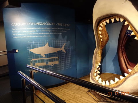 SEA LIFE Melbourne Aquarium Admission Ticket - Accommodation Port Macquarie 10