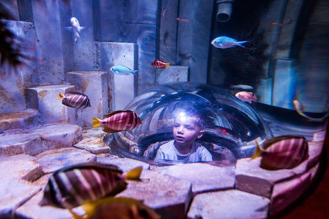 SEA LIFE Melbourne Aquarium Admission Ticket - Accommodation Port Macquarie 0