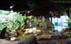SEA LIFE Melbourne Aquarium Admission Ticket - thumb 2