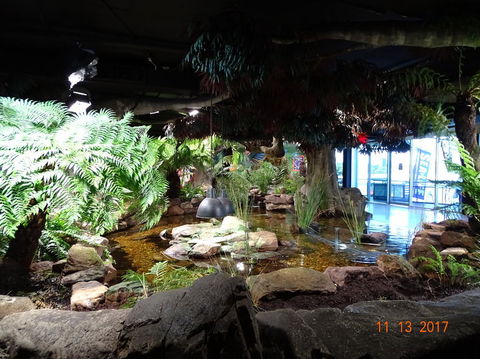 SEA LIFE Melbourne Aquarium Admission Ticket - Accommodation Port Macquarie 2