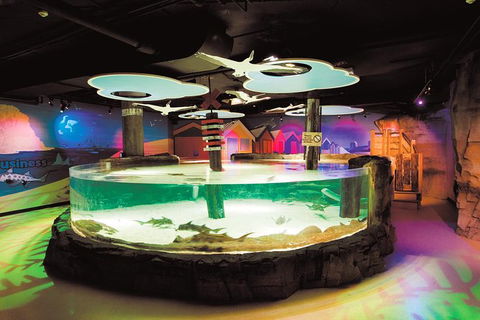 SEA LIFE Melbourne Aquarium Admission Ticket - Accommodation Port Macquarie 27