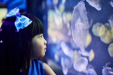SEA LIFE Melbourne Aquarium Admission Ticket - Accommodation Port Macquarie 17