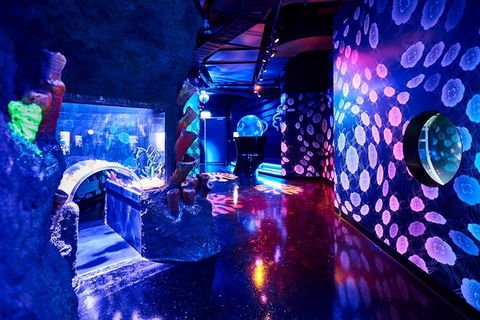 SEA LIFE Melbourne Aquarium Admission Ticket - Accommodation Port Macquarie 13