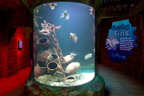 SEA LIFE Melbourne Aquarium Admission Ticket - Accommodation Port Macquarie 23