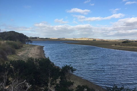 Phillip Island Walking & Bird Watching Tour - Accommodation Port Macquarie 7