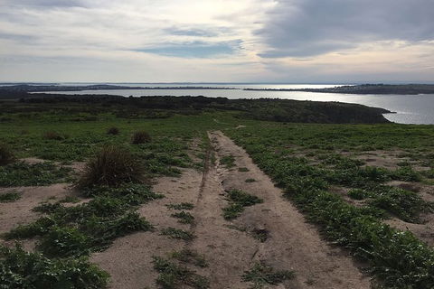 Phillip Island Walking & Bird Watching Tour - Accommodation Port Macquarie 4
