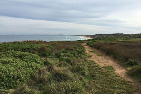 Phillip Island Walking & Bird Watching Tour - Accommodation Port Macquarie 5