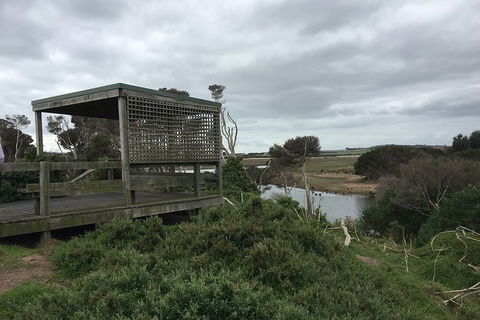 Phillip Island Walking & Bird Watching Tour - Accommodation Port Macquarie 2