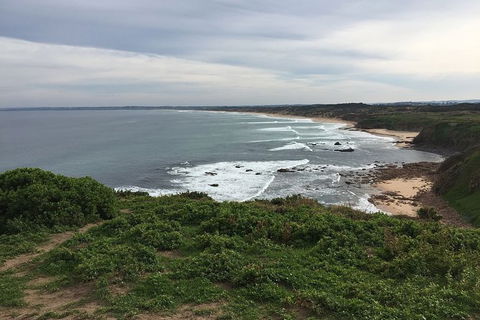 Phillip Island Walking & Bird Watching Tour - Accommodation Port Macquarie 1