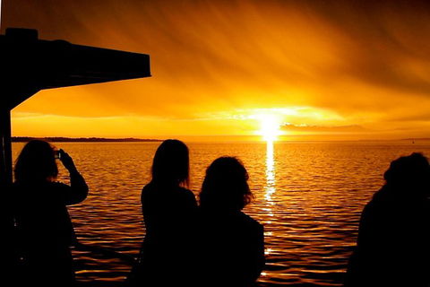 Phillip Island Twilight Cruise - Accommodation Port Macquarie 1