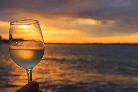 Phillip Island Twilight Cruise - Accommodation Port Macquarie 7