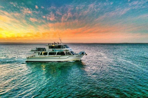Phillip Island Twilight Cruise - Accommodation Port Macquarie 3