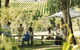 1 Day Mornington Peninsula Wine And Food Tour - thumb 1