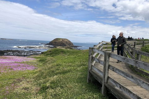 Phillip Island Tour Including Phillip Island Penguin Parade - Accommodation Port Macquarie 10