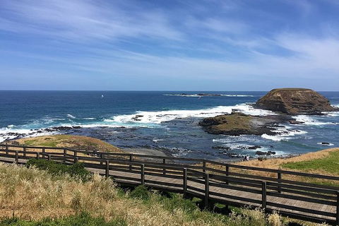Phillip Island Tour Including Phillip Island Penguin Parade - Accommodation Port Macquarie 6