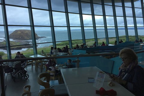 Phillip Island Tour Including Phillip Island Penguin Parade - Accommodation Port Macquarie 4
