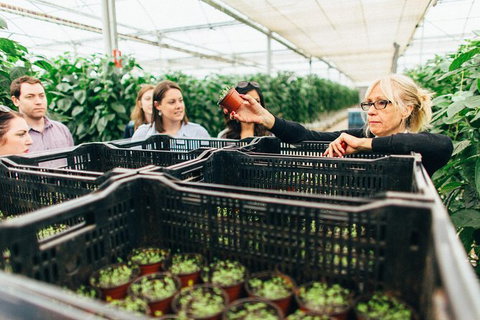 Yarra Valley Local Produce And Wine Tasting Tour - Accommodation Port Macquarie 9