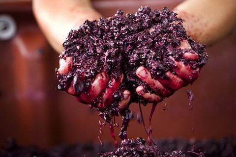 Yarra Valley Local Produce And Wine Tasting Tour - Accommodation Port Macquarie 7