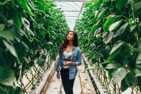 Yarra Valley Local Produce And Wine Tasting Tour - Accommodation Port Macquarie 11