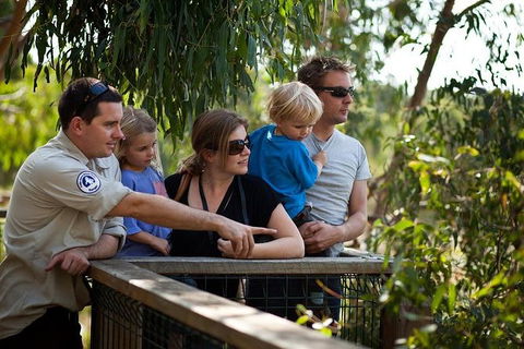Phillip Island Koala Conservation Centre: Entry Ticket - Accommodation Port Macquarie 1