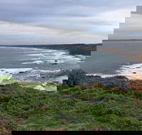 Half Day Phillip Island Woolamai Walking Tour - Accommodation Port Macquarie