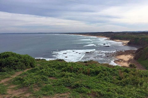 Half Day Phillip Island Woolamai Walking Tour - Accommodation Port Macquarie 0