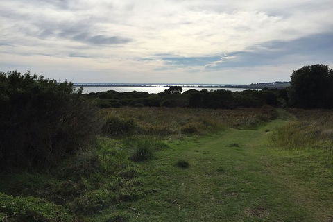 Half Day Phillip Island Woolamai Walking Tour - Accommodation Port Macquarie 4