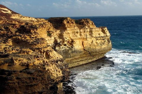 Half Day Phillip Island Woolamai Walking Tour - Accommodation Port Macquarie 12