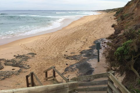 Half Day Phillip Island Woolamai Walking Tour - Accommodation Port Macquarie 11