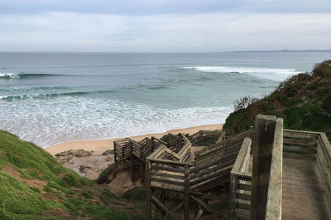 Half Day Phillip Island Woolamai Walking Tour - Accommodation Port Macquarie 5