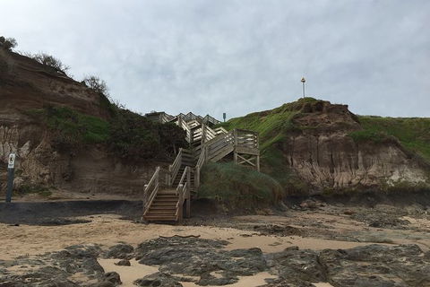 Half Day Phillip Island Woolamai Walking Tour - Accommodation Port Macquarie 14