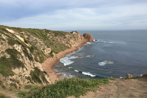 Half Day Phillip Island Woolamai Walking Tour - Accommodation Port Macquarie 2