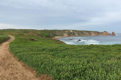 Half Day Phillip Island Woolamai Walking Tour - Accommodation Port Macquarie 9