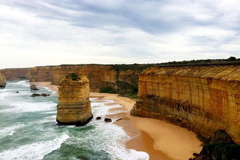 Ultimate Reverse Direction - 12 Apostles, Great Ocean Road - Small Group Tour - Accommodation Port Macquarie 5