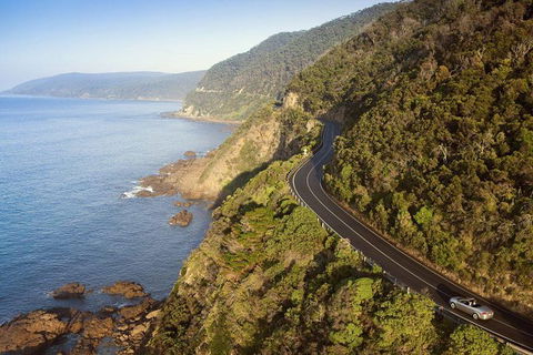 Ultimate Reverse Direction - 12 Apostles, Great Ocean Road - Small Group Tour - Accommodation Port Macquarie 10