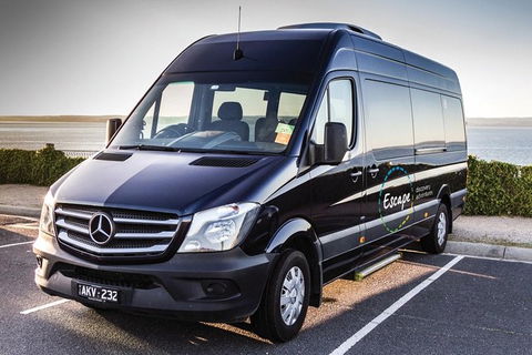 Ultimate Reverse Direction - 12 Apostles, Great Ocean Road - Small Group Tour - Accommodation Port Macquarie 4