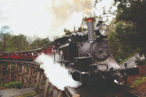 Half Day Puffing Billy Train Journey From Melbourne - Accommodation Port Macquarie 3