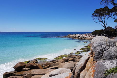 Tasmania 6 Day \'Tour In Circle\' - Accommodation Port Macquarie 4