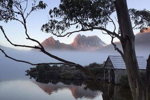 Cradle Mountain Day Tour From Launceston Including Lunch - Accommodation Port Macquarie 7