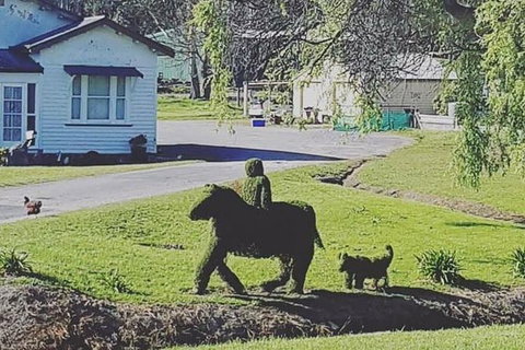 Cradle Mountain Day Tour From Launceston Including Lunch - Accommodation Port Macquarie 5