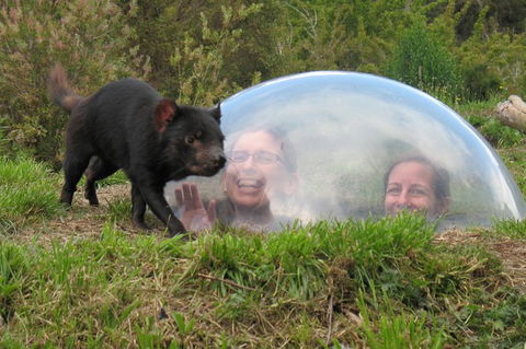 Small-Group Tour From Hobart: Tasmania Convict Trail And Port Arthur Day Trip - Accommodation Port Macquarie 3