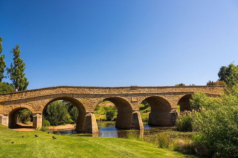 Small-Group Tour From Hobart: Tasmania Convict Trail And Port Arthur Day Trip - Accommodation Port Macquarie 7