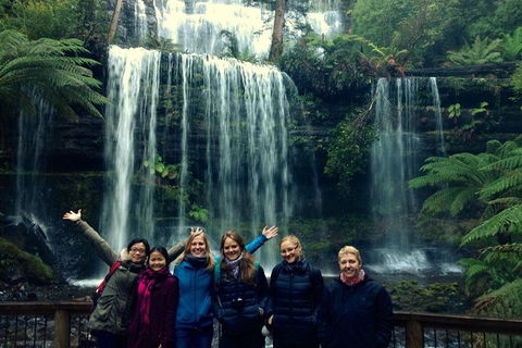 Mt Field National Park Active Day-Trip Including Bonorong And Mt Wellington - Accommodation Port Macquarie 1